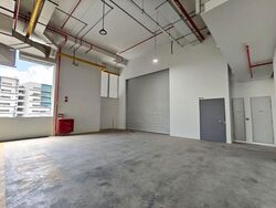 Ct Foodnex (D25), Factory #571670221